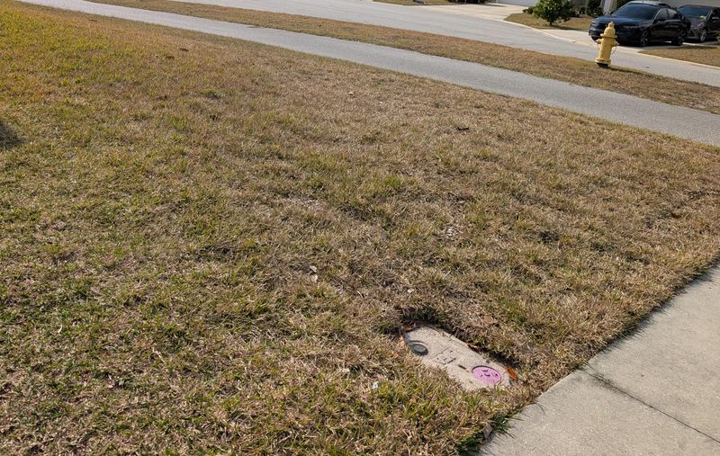 Why Some Areas Recover Faster Than Others