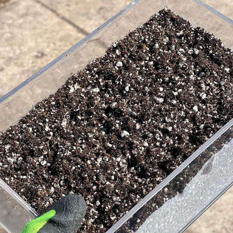 Soil, Compost, And Garden Starters