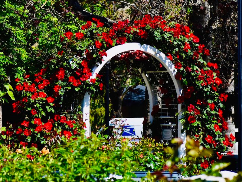 Best Time To Visit The Garden