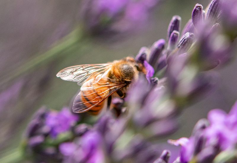 It Feels Like A Secret Garden