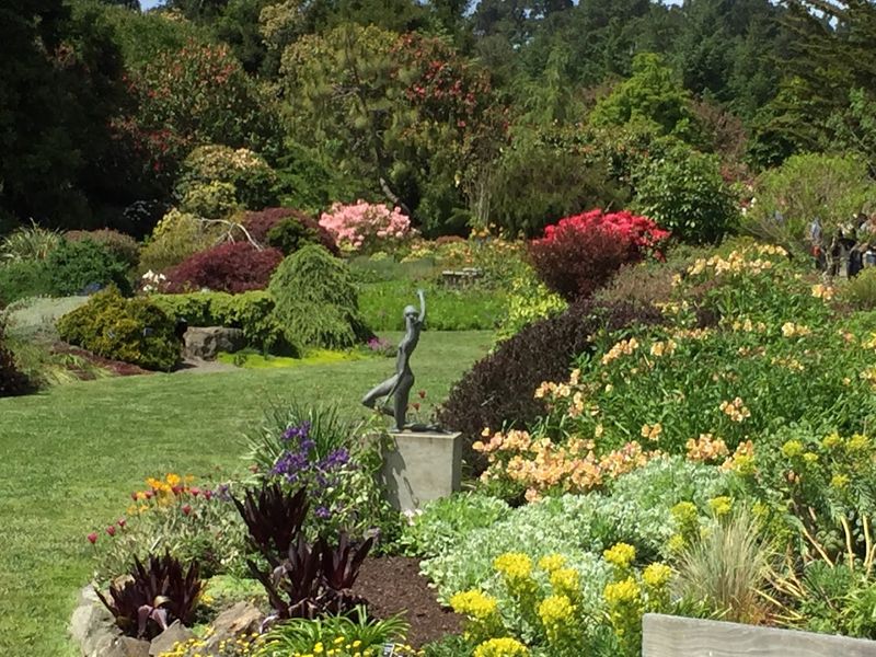 Mendocino Coast Botanical Gardens - Fort Bragg