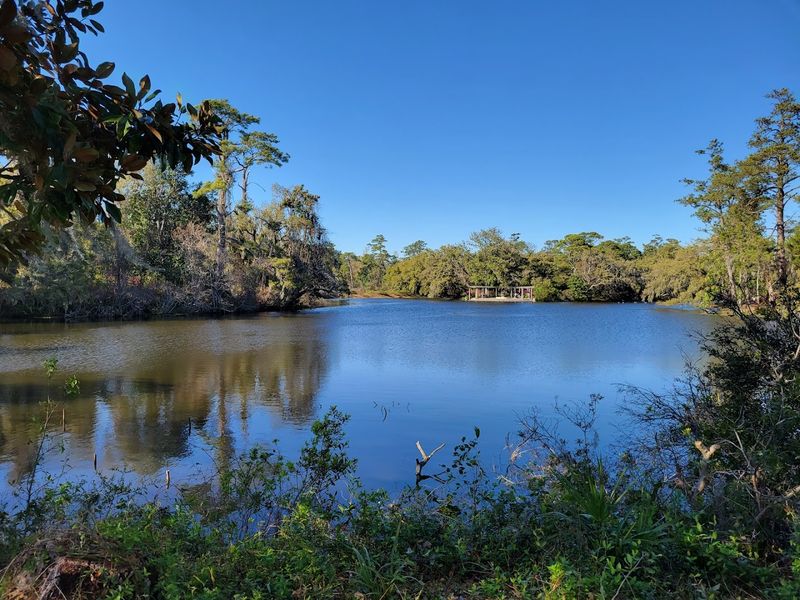 A Coastal Garden With Lakes Water Views And Wildlife