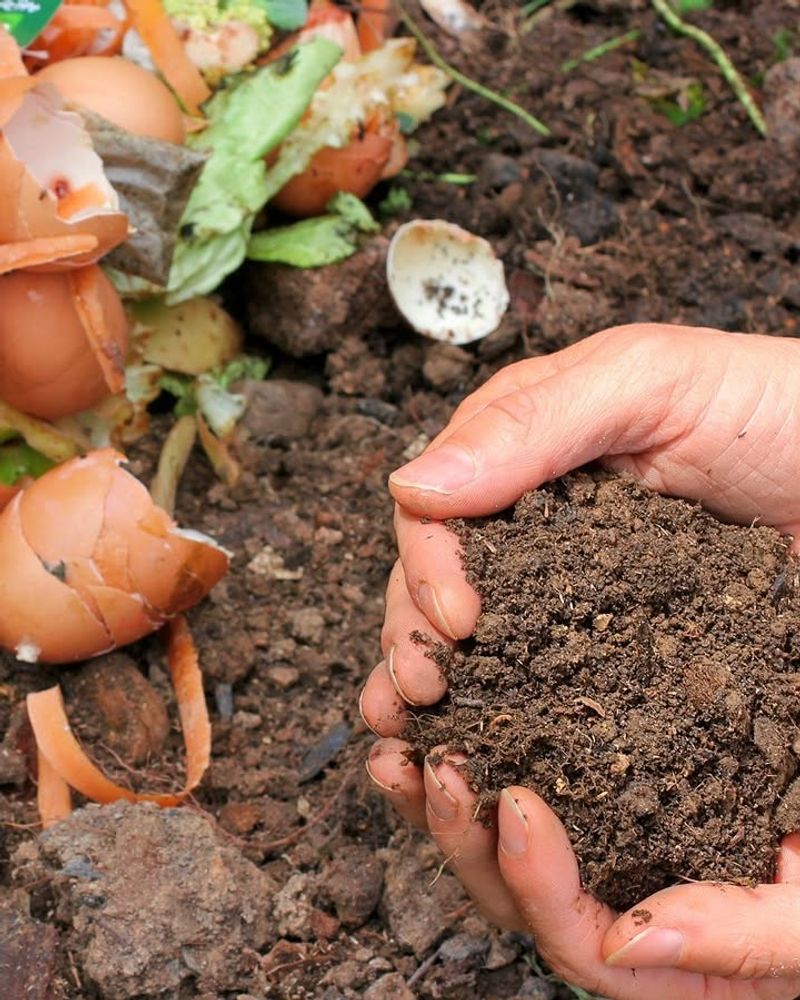 Turn Compost Piles To Speed Things Up