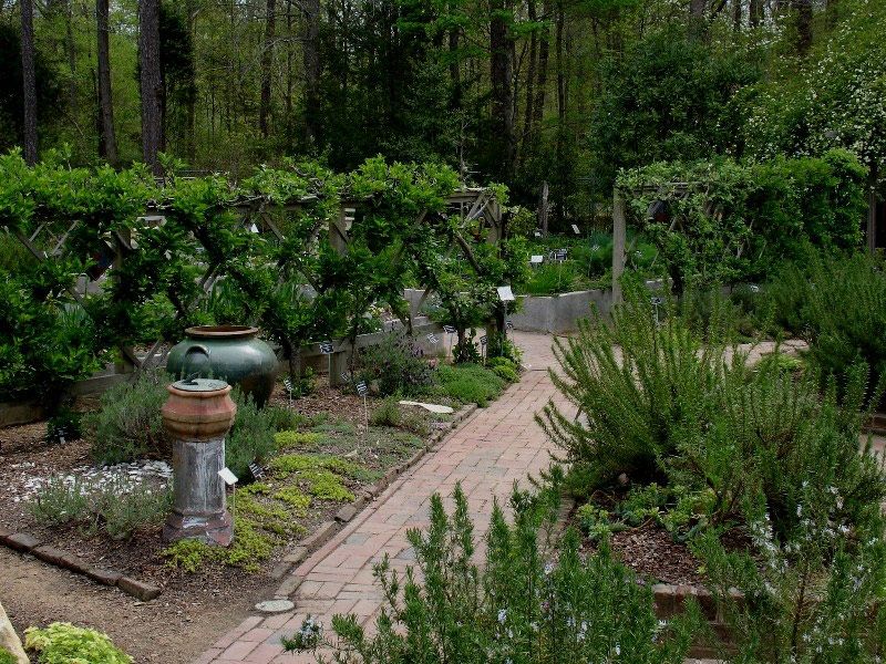 Wildlife And Natural Habitat