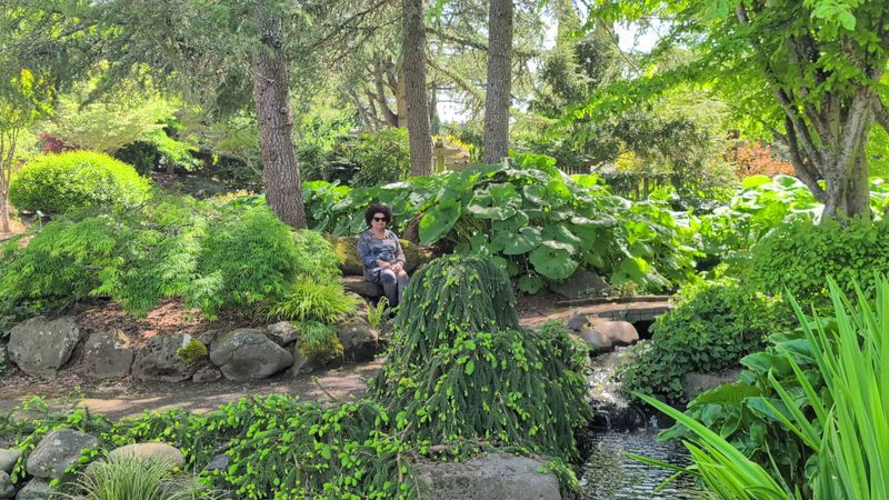 Peaceful Paths And Hidden Corners