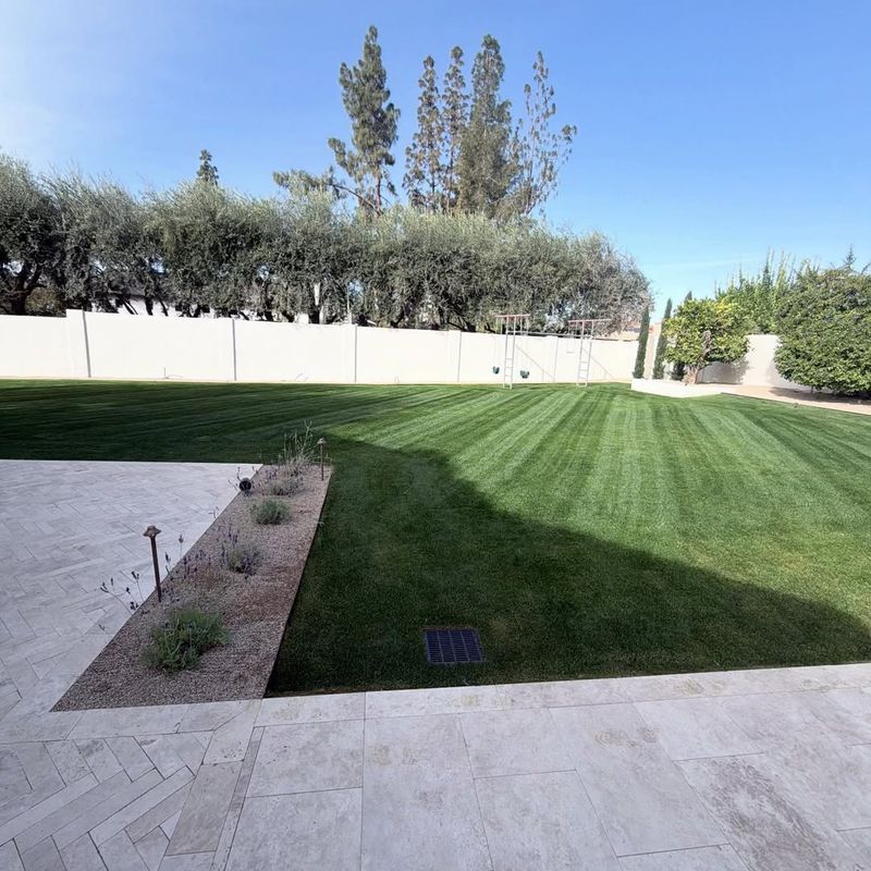 Consistent Maintenance