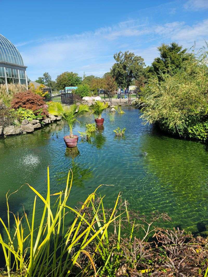 Recently Reopened After Major Renovations