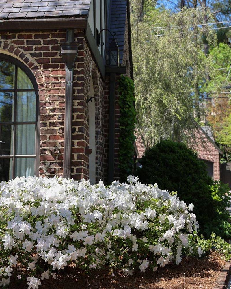 Low-Maintenance Beauty That Lasts Year After Year