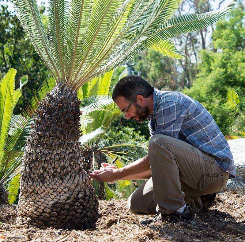 Global Conservation Networks