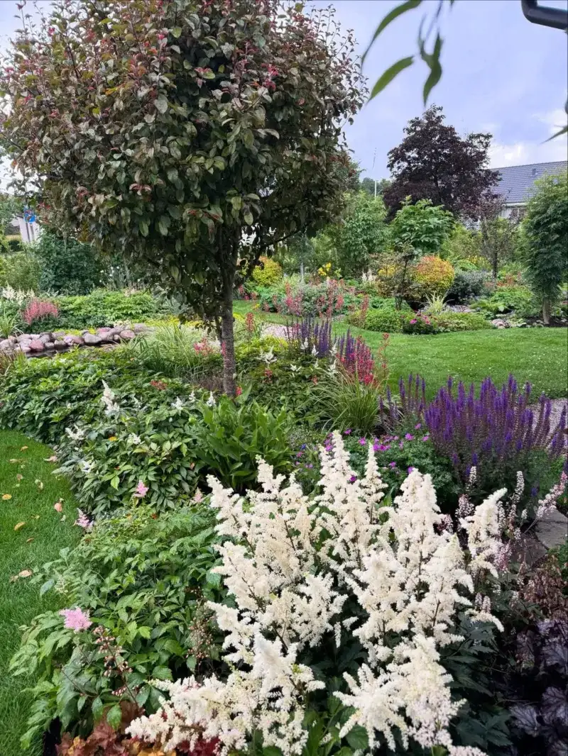 Sun-Seeking Garden Placement