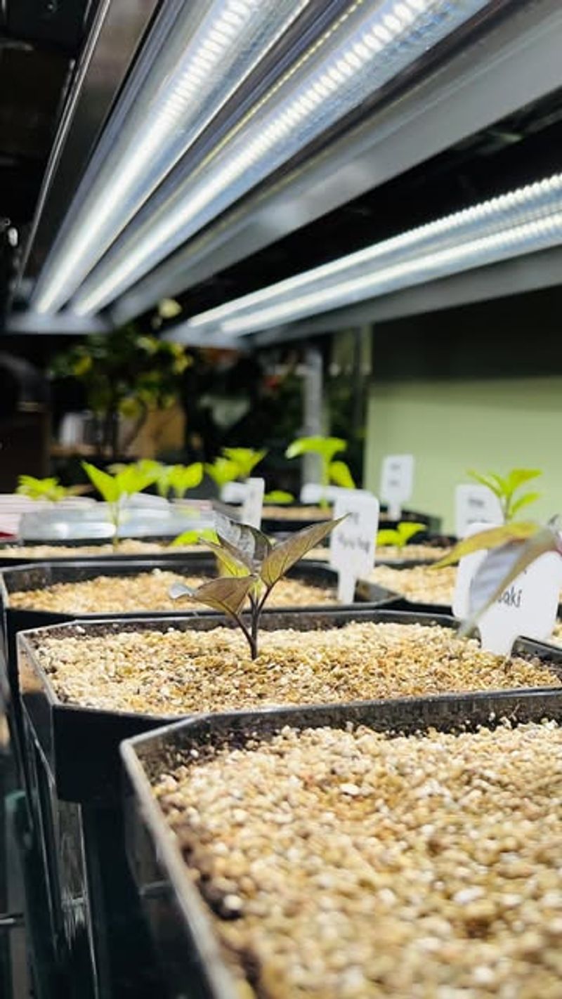 Provide Adequate Light