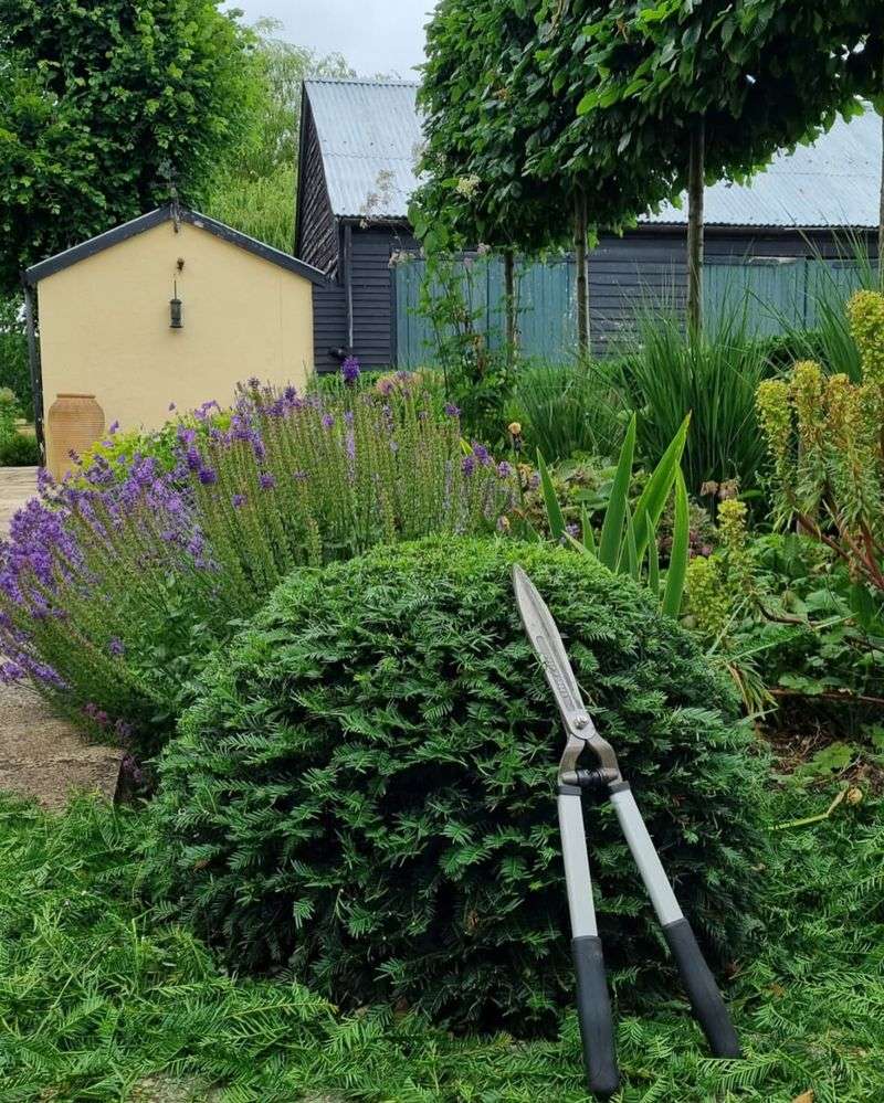 Planning For Seasonal Maintenance Instead Of Constant Upkeep