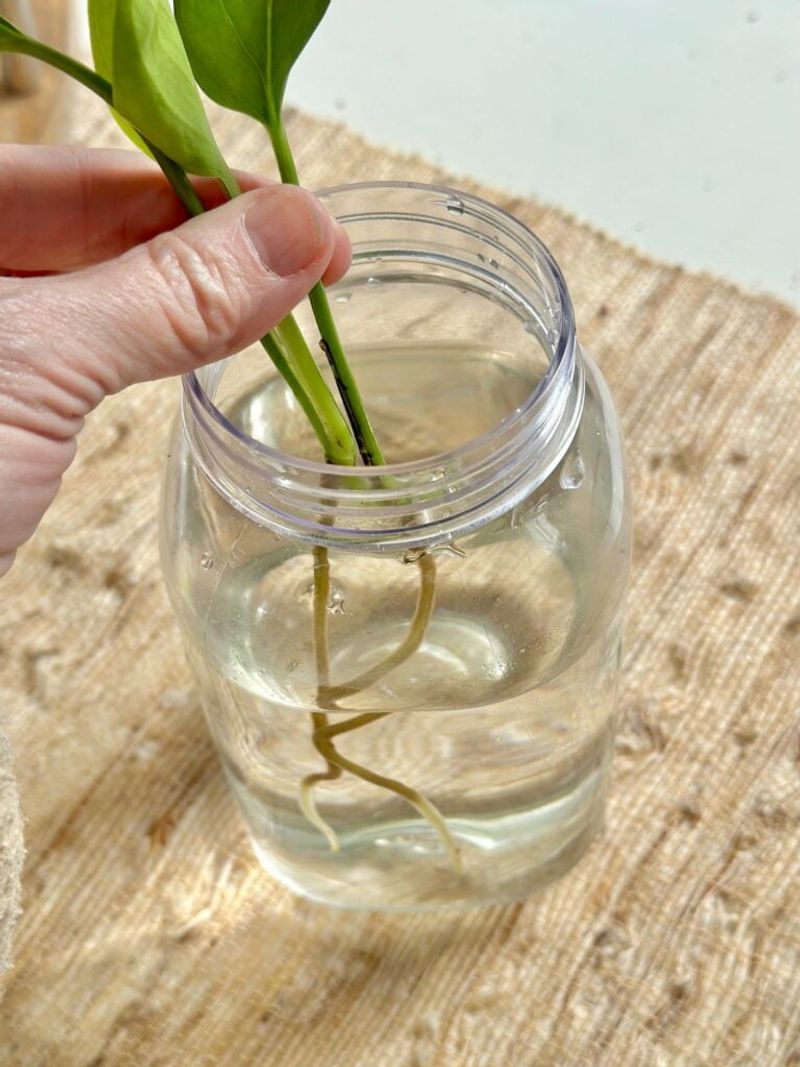 Preparing Clean Containers With Fresh Water