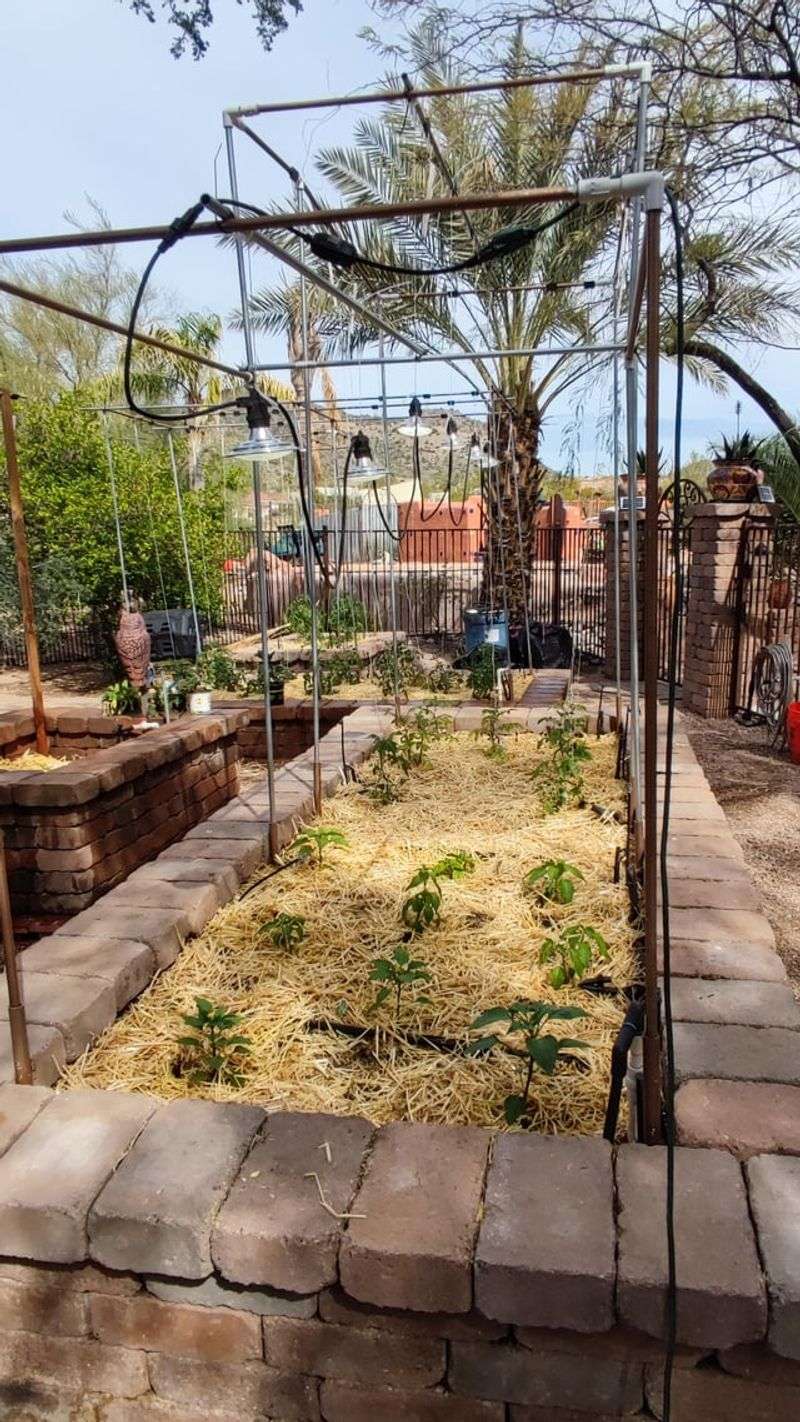 Consistent Moisture Prevents Heat-Triggered Shutdown