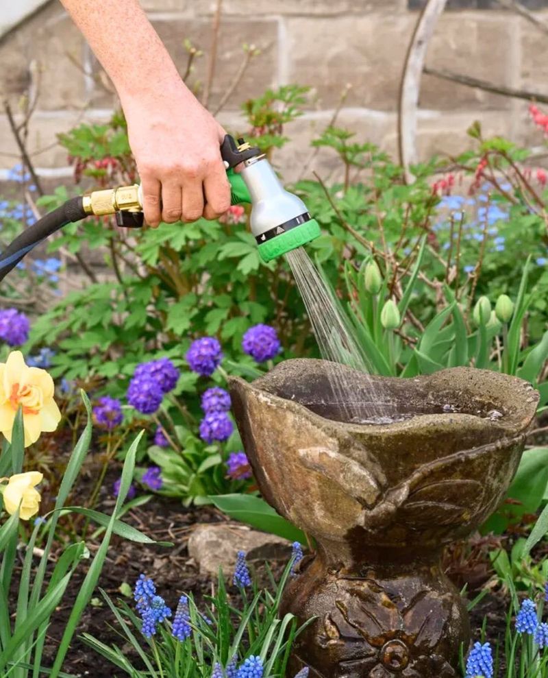 Clean, Fresh Water Encourages Repeat Visits