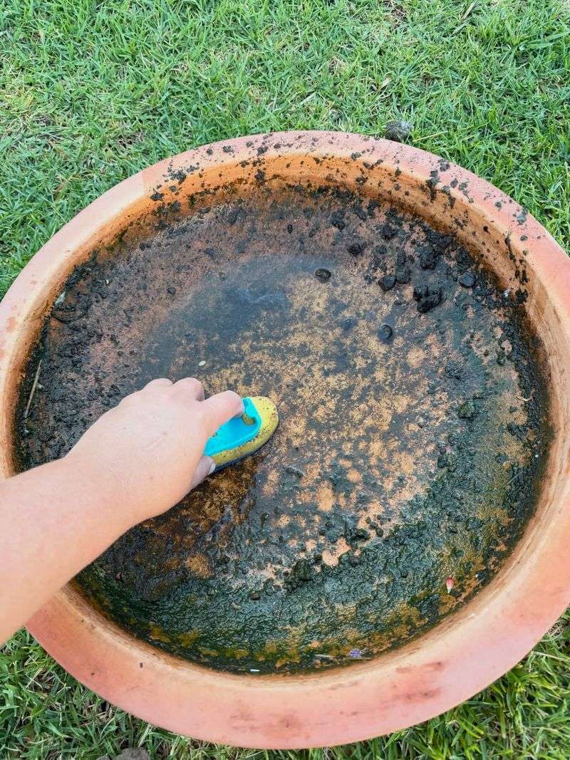 Clean Water Keeps Wildlife Returning Daily