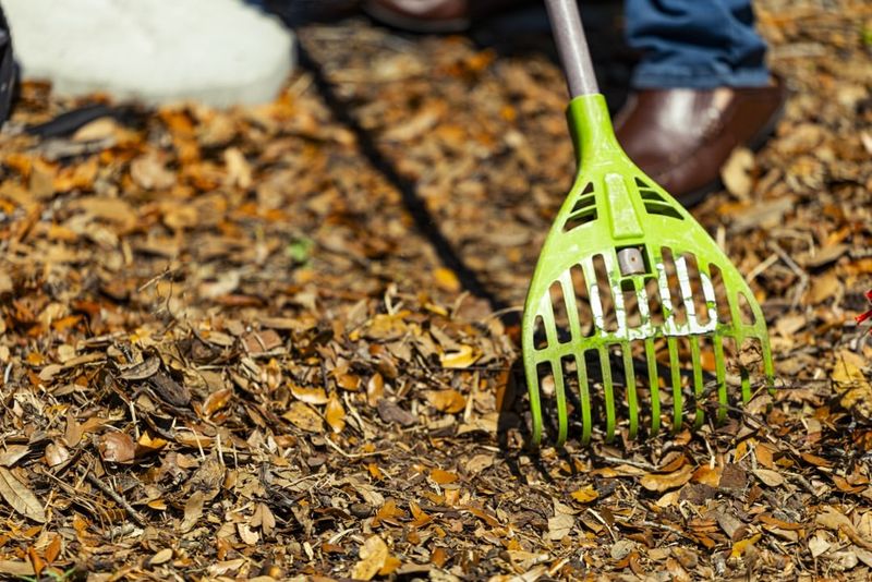 Stay Ahead Of Tick Season All Year