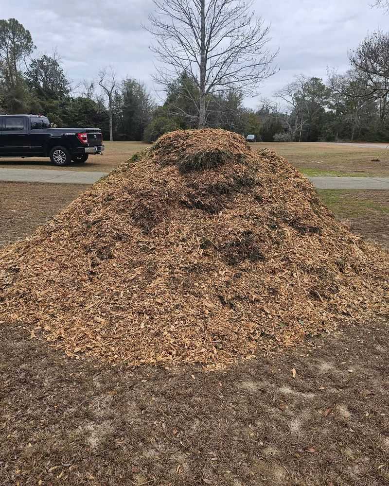Wood Chip Mulch