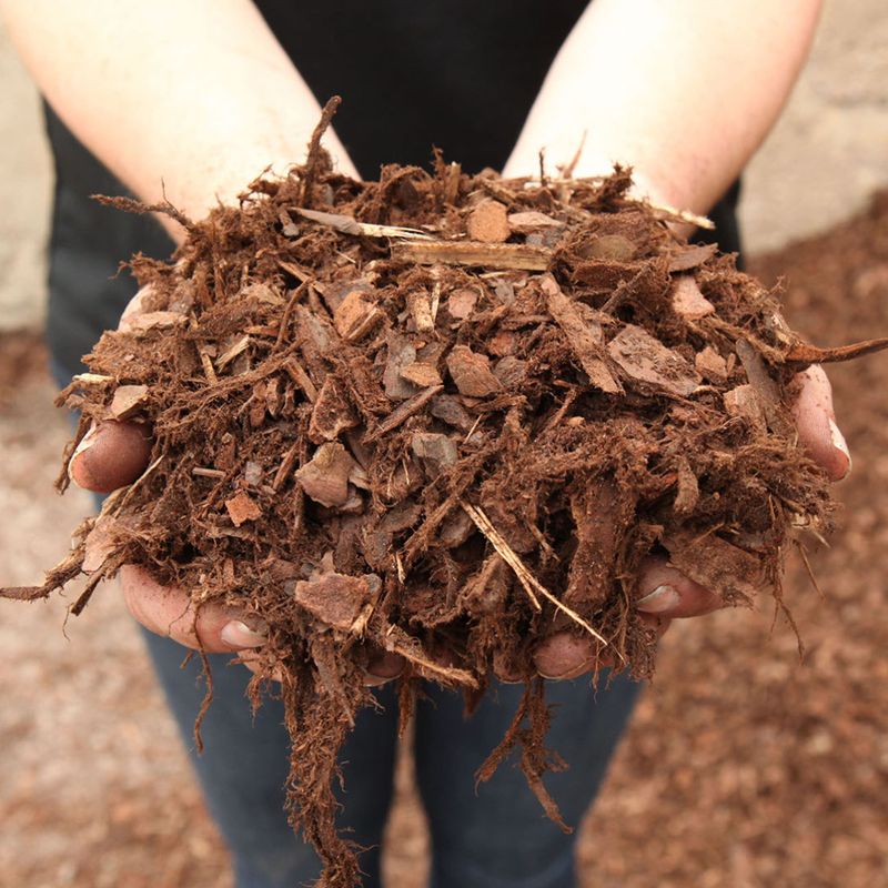 Pine Bark Fines Improve Drainage And Root Aeration