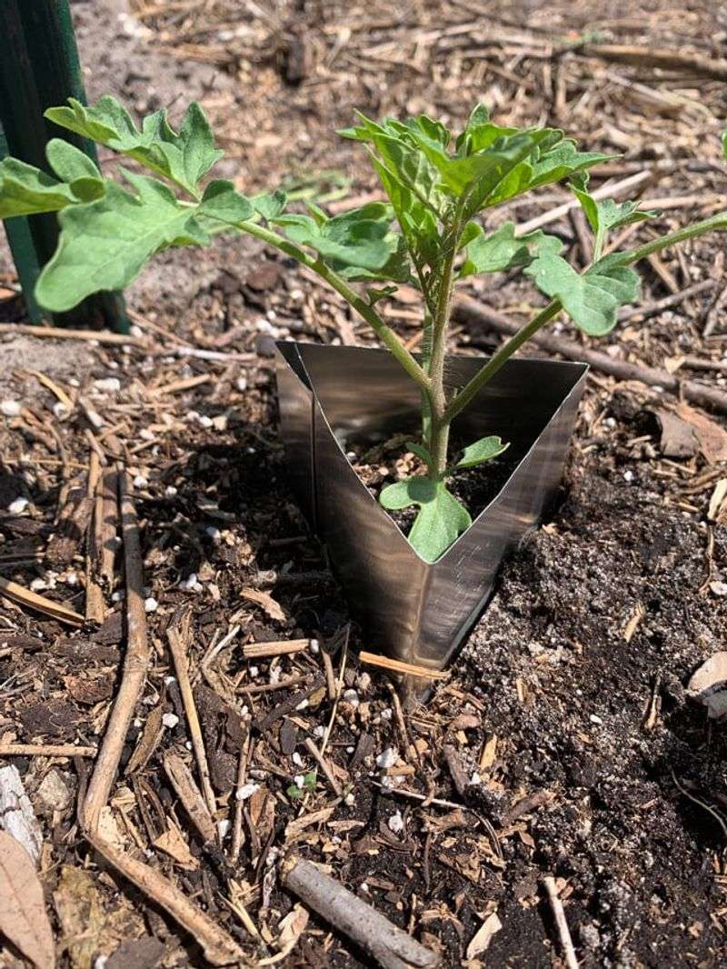 Fast Protection Stops Overnight Damage