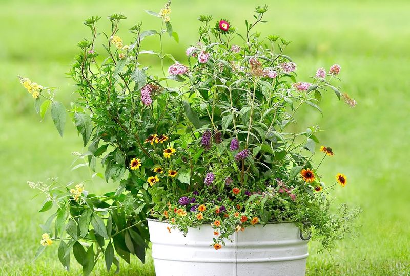 Group The Same Plants Together For Easy Access