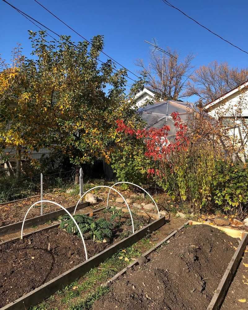 Clean To Remove Food Sources