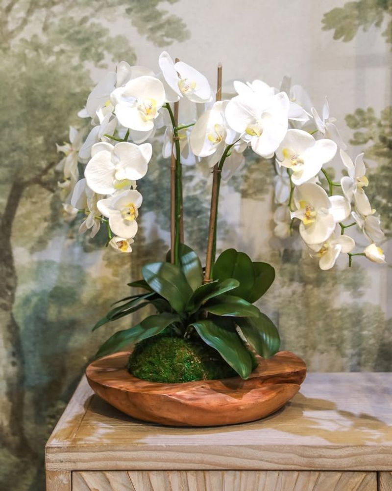 Bring Elegant Beauty Into The Home