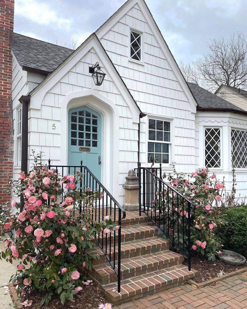 Glossy Leaves Create A Formal, Welcoming Look