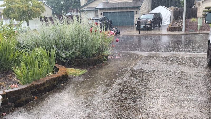 Rain Is Both Your Friend And Your Biggest Challenge