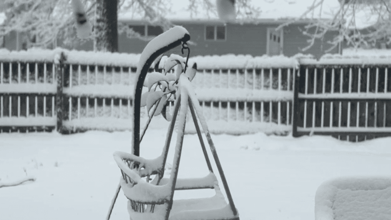 Check Your Local Rules Before Winter Arrives