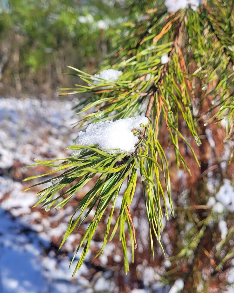 Mountain Regions Face Higher Risk Than Coastal Areas