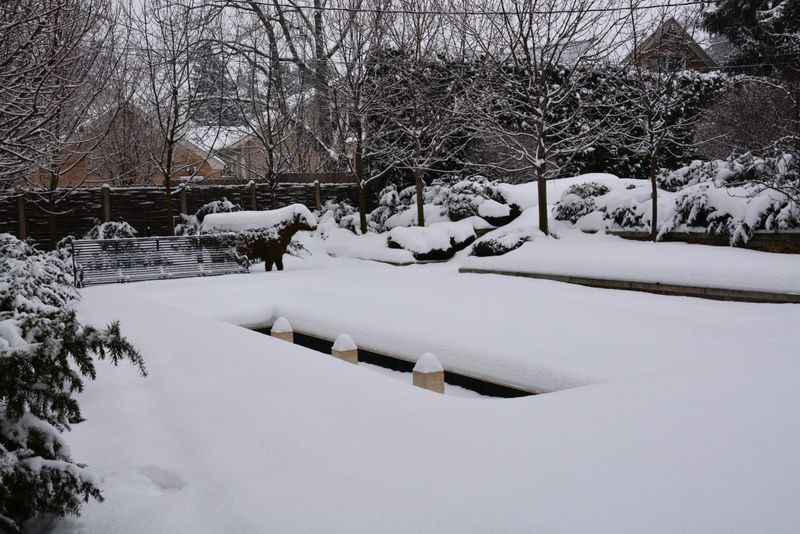 Deep Consistent Snow Is More Protective Than Thin Patchy Cover