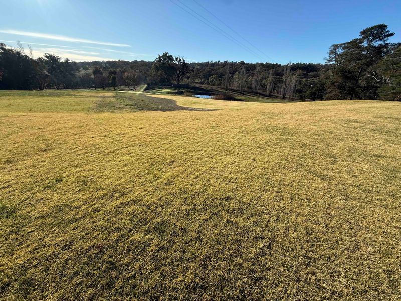 Winter Damage Turns Grass Pale, Flat, And Lifeless Looking