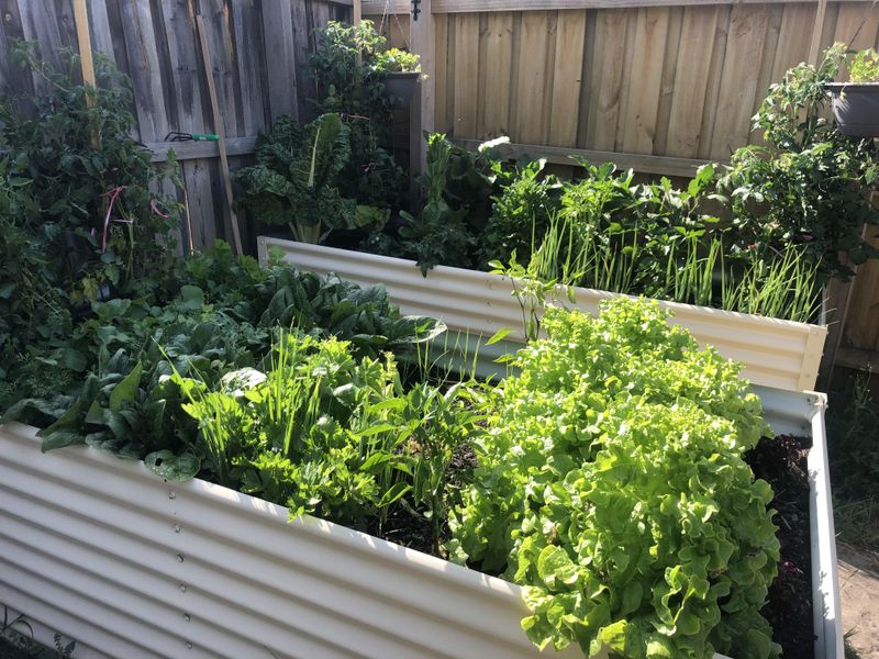 Daytime Temperatures Stay Mild For Longer Stretches