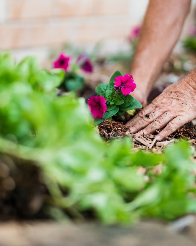 Timing Pruning For Flower Bud Formation