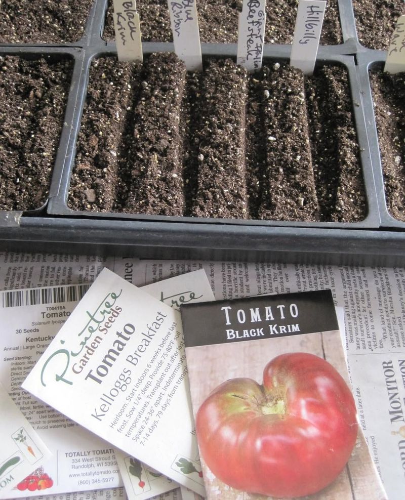 Starting Seeds Indoors Versus Direct Planting