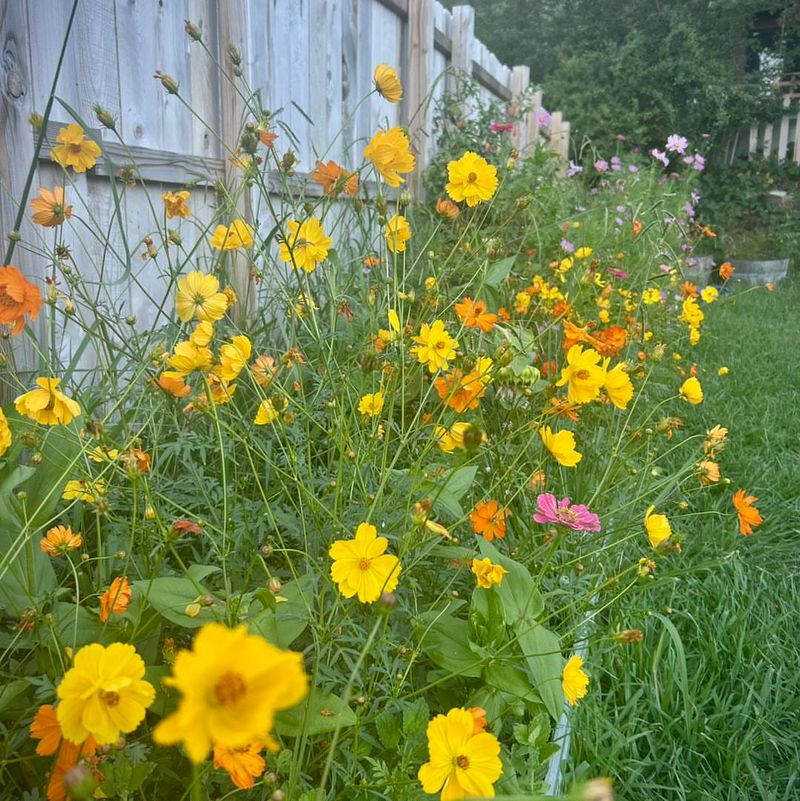 Early Testing Prevents Spring Growth From Stalling