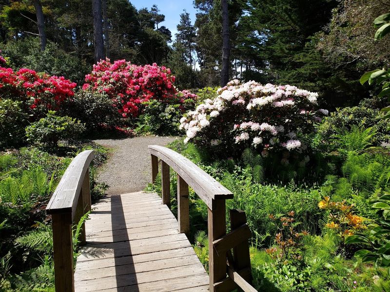 Mendocino Coast Botanical Gardens (Fort Bragg)