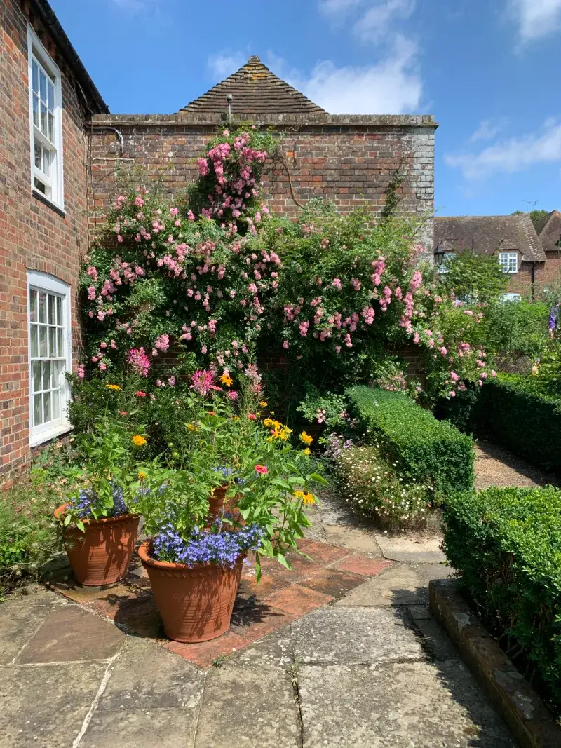 Stored Heat Shields Plants From Cold Nights