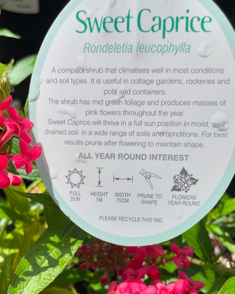 Plant Labels Hide More Than Just Hardiness