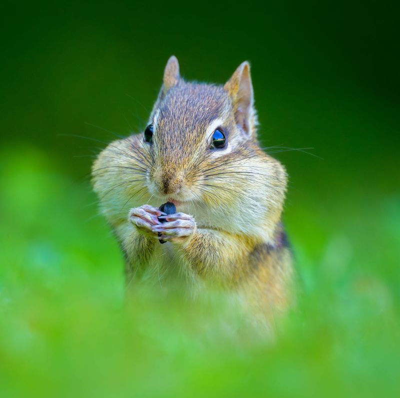 What's Attracting Them