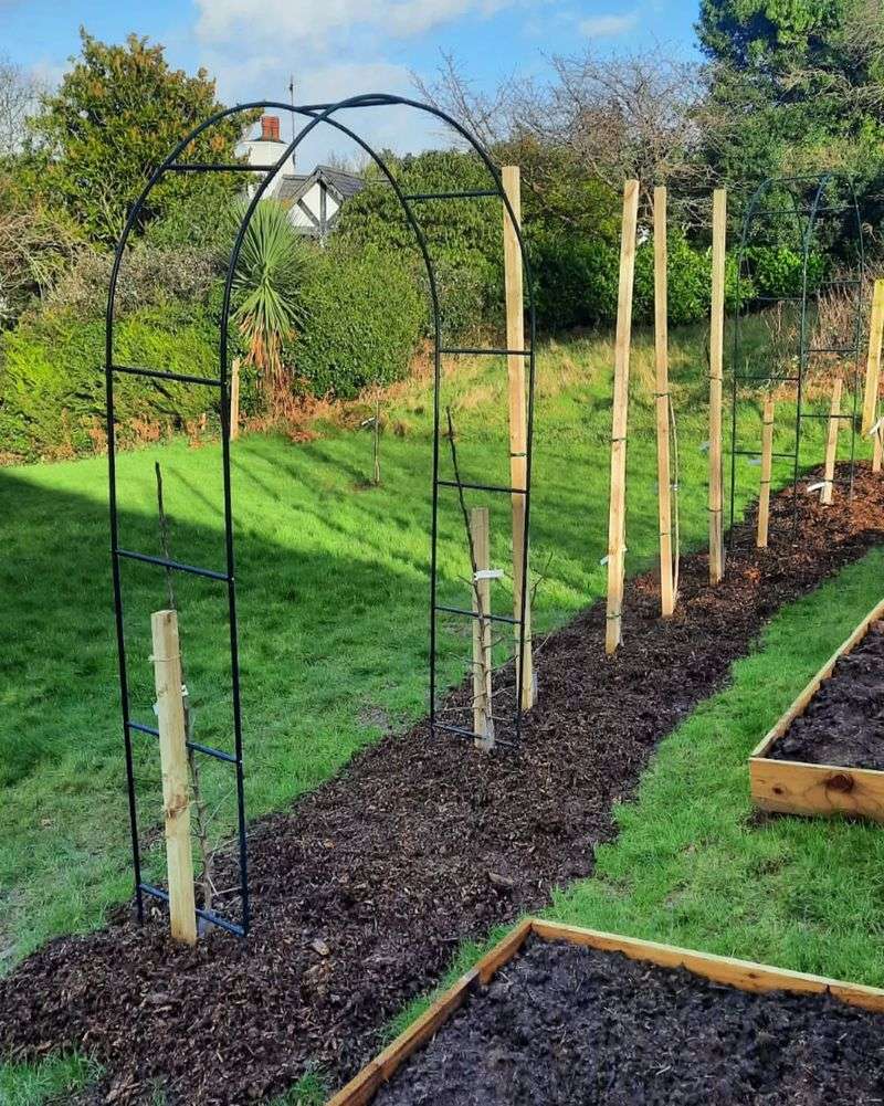 Adjust Mulch Depth For Georgia's Rainfall Patterns