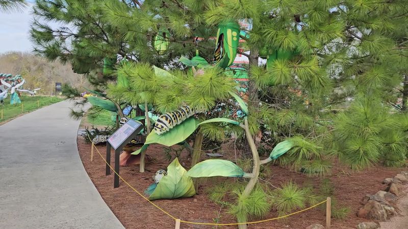 Why 2026 Is A Great Time To Visit?