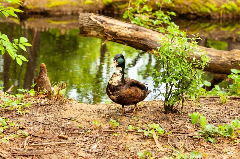 A Free Public Nature Destination Open Year Round