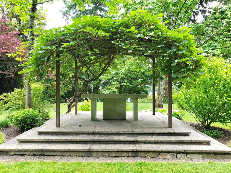 A Hidden Gem In Dunthorpe