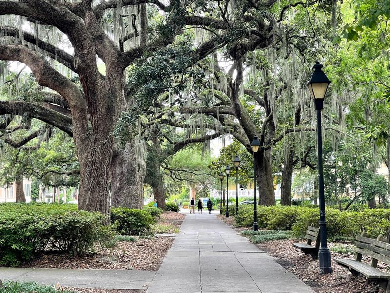 Forsyth Park In Savannah Filled With Massive Live Oaks