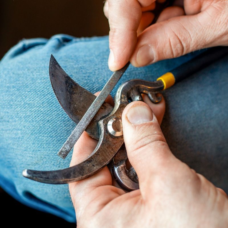 Clean And Sharpen Garden Tools