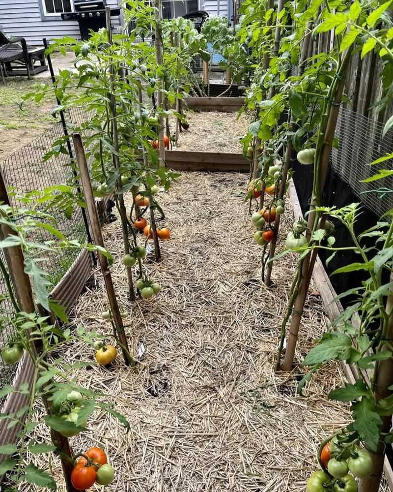 Lock In Your Planting Dates First