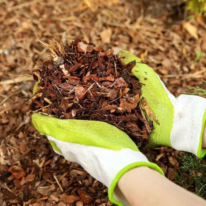 Refresh Mulch To Retain Moisture And Suppress Weeds