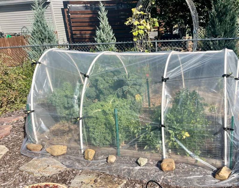 Follow Frost Dates To Protect Your Garden From Setbacks